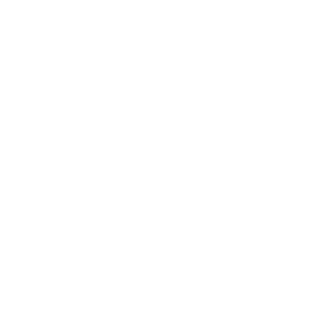 ZenDiS on LinkedIn